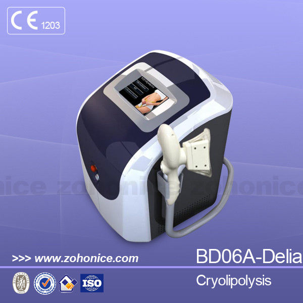 Professional Cryolipolysis Slimming Machine Portable For Fatness Removal