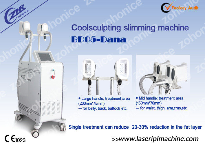 Vertical Cryolipolysis Weight Loss Machine  Pain-free For Fat Removal
