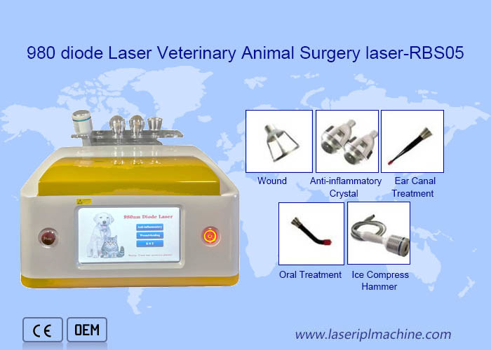 Clinic Use Portable 980nm Diode Laser Veterinary Removal Machine