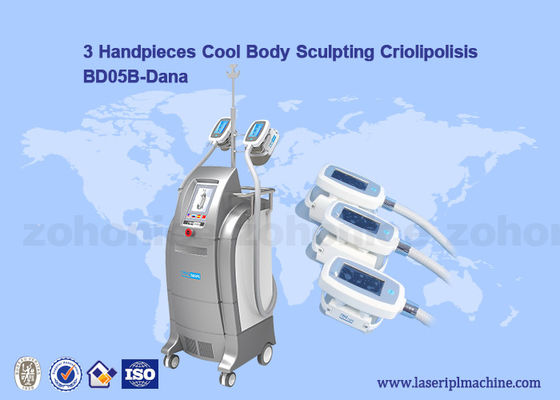 Good price Vacuum Cryolipolysis / Cool Body Sculpting Membrane / Criolipolisis Cellulite Reduction Machine online