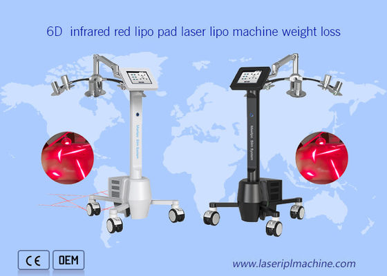 Good price 532nm Green Light Lipo Laser Machine Weight Loss Cellulite Removal online