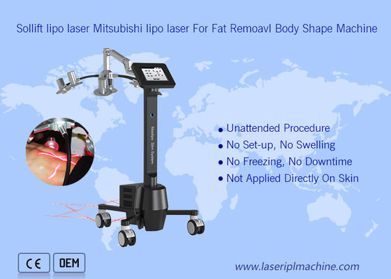 Good price 220v Portable Cryolipolysis Machine 6d Lipolaser Zerona Beauty online