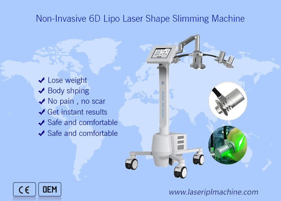 Good price Non Invasive 532nm Cryolipolysis Slimming Machine Whole Body Weight Loss 6d Beauty online