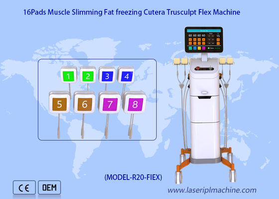 Good price 2mhz Monopolar Radio Frequency Machine Weight Loss Cellulite Removal Trushape Flex online