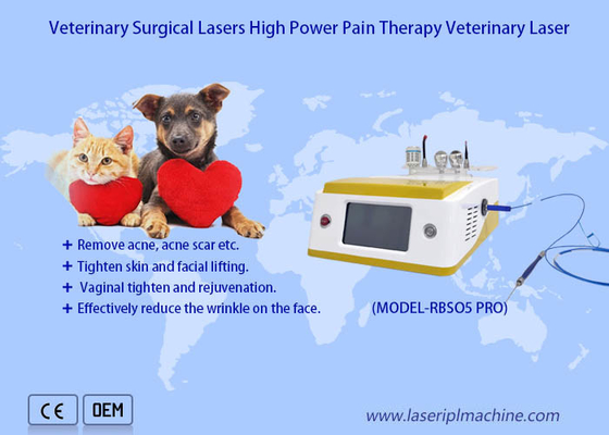 980nm Diode Laser Pets Pain Recovery Surgical Laser Veterinary Therapy Laser Device