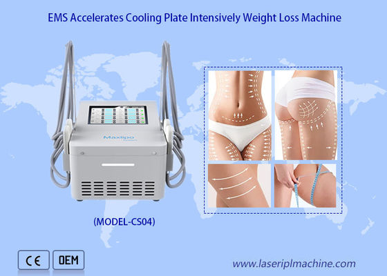 Good price Ems Fat Reduce Cryo Plate Machine With 4 Cooling Pads online