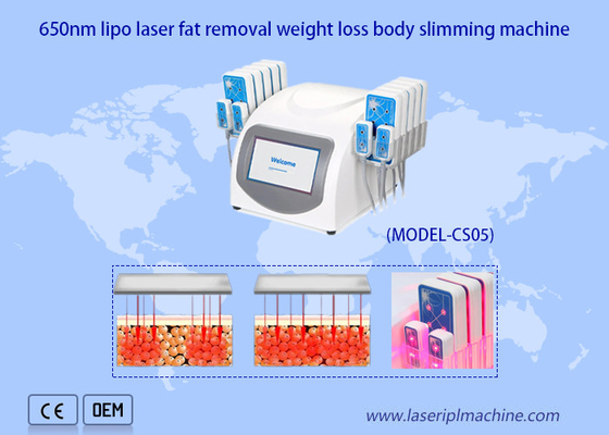 Portable 650nm Lipo Laser Machine Ultrashape Body Slimming Weight Loss