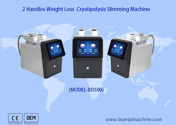Good price 360 Degree 2 Handles Cryolipolysis Slimming Machine Portable Weight Loss online