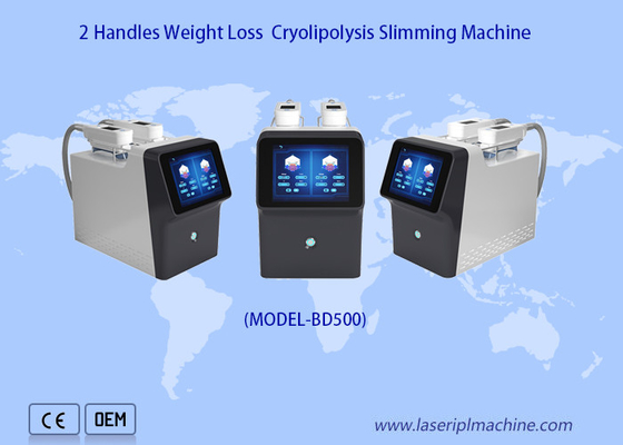 360 Degree Cryolipolysis 2 Handles Portable Weight Loss Machine