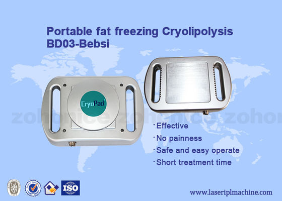 Good price Fat Reduce Cryolipolysis Portable cryolipolysis Slimming Machine online