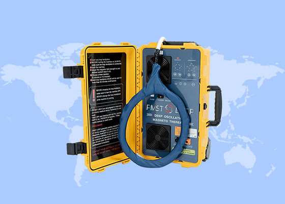 Good price Pain Therapy Sport Injuries Treatment Pmst Loop Magnetic Physio Machine online