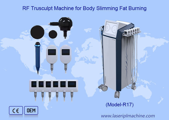 Good price Trusculpt Flex 3D Weight Loss Face And Body Sculpting RF Trusculpt Machine online