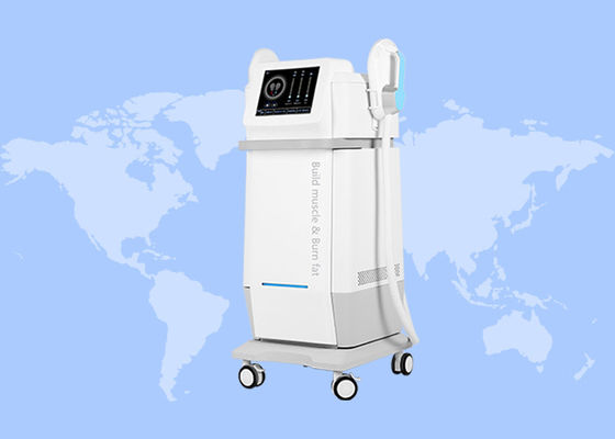 Good price 2Handle 5mode Electro Magnetic body Slim Nero RF 30000Muscle Sculpt Fat Burning Machine online