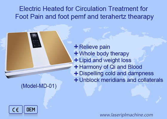 2in1 EMS Terahertz Health Care For Foot Massage Terahertz Therapy Machine