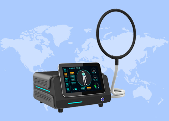 Pmst Loop Pemf Therapy Machine for Human Pain Relief Animals Health Care
