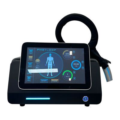 Good price Pmst Loop Pemf Therapy Machine For Human Pain Relief Animals Health Care online