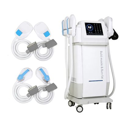 Good price Electromagnetic Muscle Stimulator 4 Probes HIFM RF EMS Slimming Weight Loss Machine online