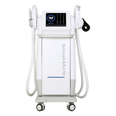 Good price 4handles Build Muscles Burn Fat Burning Rf Weight Loss Hifem Machine online