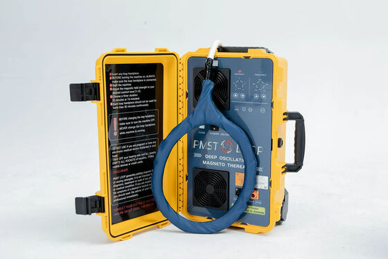 Good price Pain Therapy Sport Injuries Treatment Pmst Loop Magnetic Physio Machine online