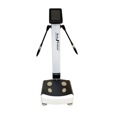 Multiple Language Fat Scale Protein Inorganic Testing Body Composition Analyzer Machine