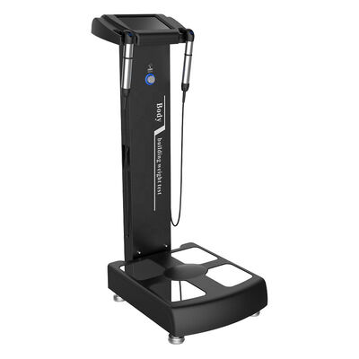 Good price Smart Fat Loss Analyzer BMI Analyzer Body Composition Analyzer Machine online