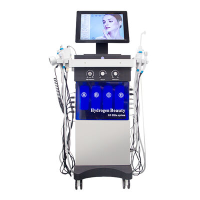 Good price 14 In 1 Ultrasonic Scrubber RF Bio Facial Cleaning Hydrodermabrasion Machine online