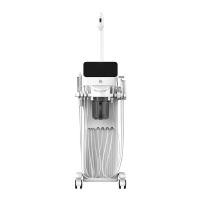 Good price Hydrafacial Water Dermabrasion Peeling Skin Whitening Aqua Oxygen Facial Machine online
