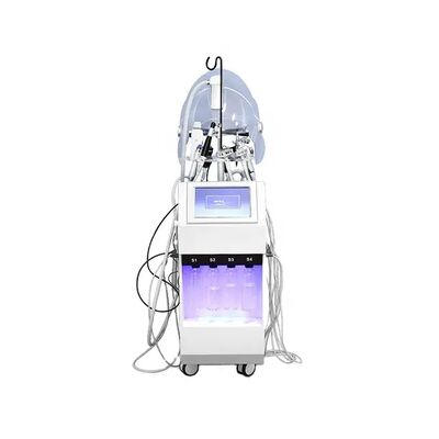 Good price 10 In 1 Multi Function Beauty Equipment Hydra Oxygen Jet Peel Facial Care Machine online