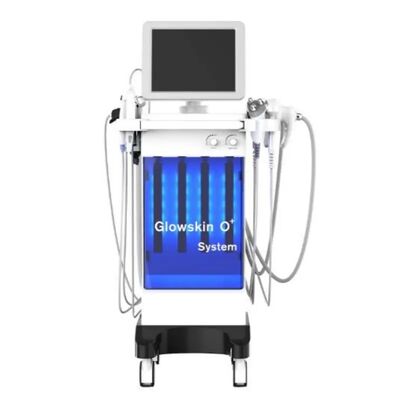 Good price Stationary 11 In 1 Micro Hydra Machine Face Lifting Oxygen Beauty Machine HO909 online