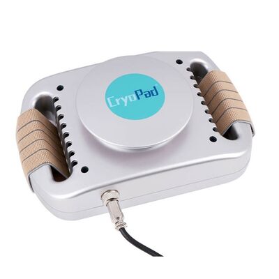 Good price Home Use Mini Cryolipolysis Machine 220v / 110v Slimming online