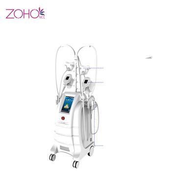 Good price Weight Loss Cryolipolysis Slimming Machine Fat Freezing Liposuction 80kpa online
