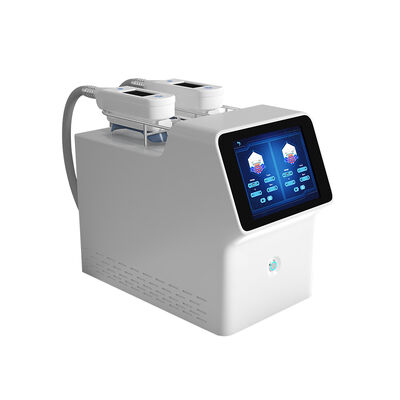 Good price 360 Degree 2 Handles Cryolipolysis Slimming Machine Portable Weight Loss online