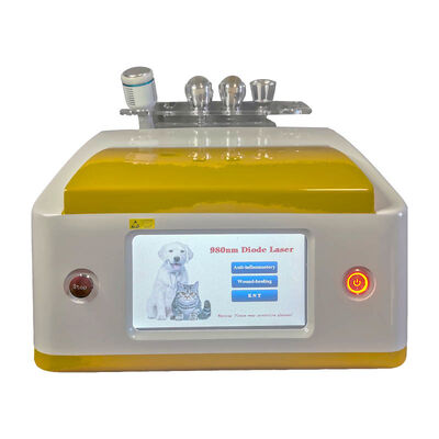 Good price Clinic Use Portable 980nm Diode Laser Veterinary Removal Machine online