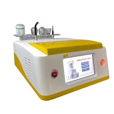 Good price 650nm 810nm 980nm 1064nm Diode Laser Hair Removal Portable For Animal Use online
