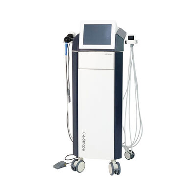 Good price Trusculpt Flex 3D Weight Loss Face And Body Sculpting RF Trusculpt Machine online