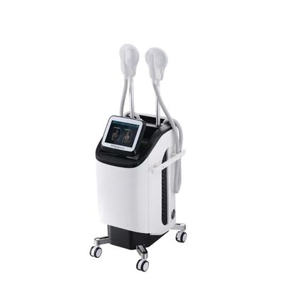 Good price 300µS Clinic 220v EMT Cavitation Body Slimming Machine online