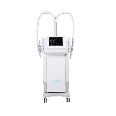 Good price 220v Build Muscle Vertical Painless HIEMT Laser IPL Machine online