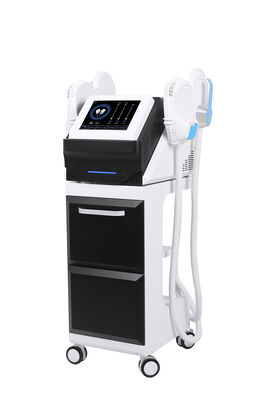 Good price Portable Fat Loss Ems Hi Emt Machine 300w 3000w Muscles Sculpt Device online