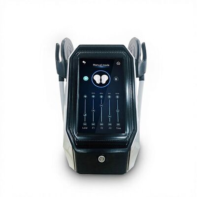 Good price 300us Portable 2 Handle Hiemt Beautiful Muscle Machine online