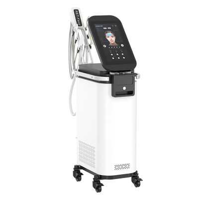 Good price EMRF forehead double cheek eyes lifting skin tightening RF ems V face machine online