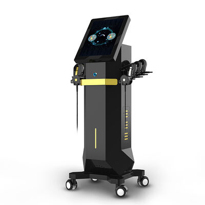 Good price Vertical Facial Massager 6 Handles RET FACE EMS Muscle Stimulator Machine online