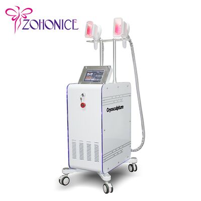 Good price 2 Changeable Handle Cryolipolysis Slimming Machine With Antifreezing Membrance online