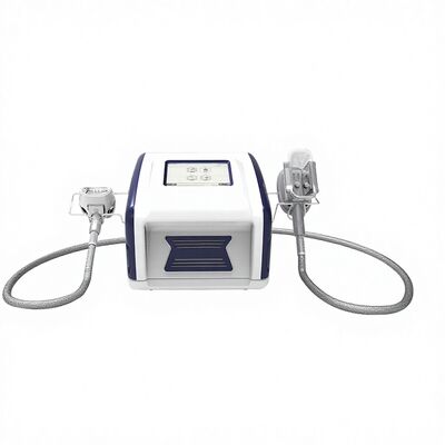 Good price 12V Cool Mini Fat Reduction Cryolipolysis Slimming Machine online