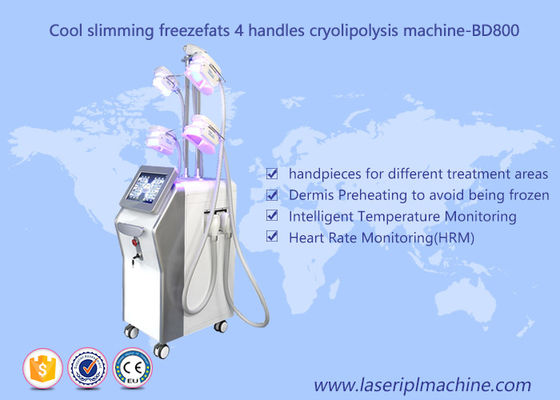 Good price 4 Handle Weight Loss Cryolipolysis Machine / Fat Freezing Vacuum Cavitation Slimming Machine online