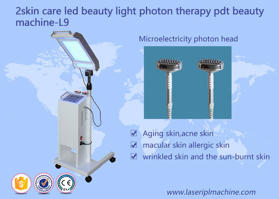 Good price 10HZ 415mm Skin Care Facial Lifting PDT LED Beauty  Light Therapy Machine online