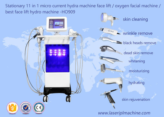 Good price Stationary 11 In 1 Micro Hydra Machine Face Lifting Oxygen Beauty Machine HO909 online