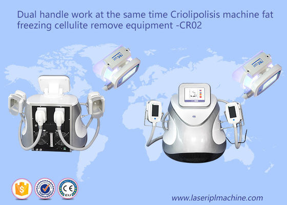 Good price Dual Handle Fat Freezing Cellulite Weight Loss Machines CR02 110v / 220v online