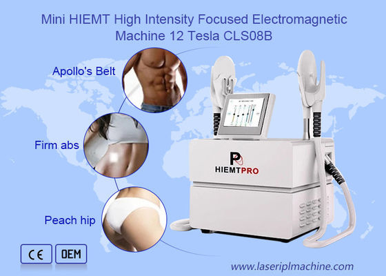 Good price Mini Weight Loss Beauty 2.3KVA Hiemt Machine online