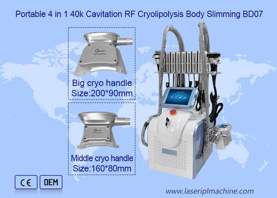 Good price 2 Handle 650nm 1mhz Cryolipolysis Slimming Machine online