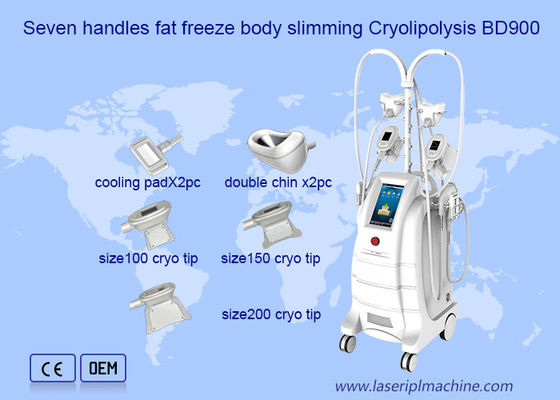 Good price Fat Freezing Double Chine Removal Cryolipolysis Machine online
